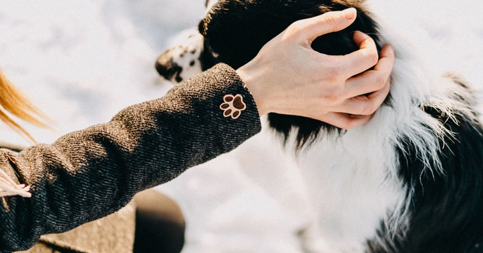 paw_brooch